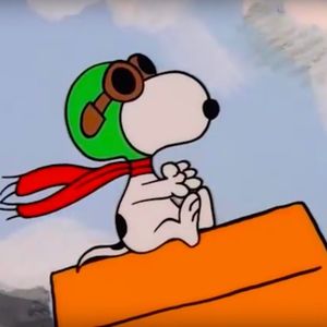 Meet your Posher, Gary